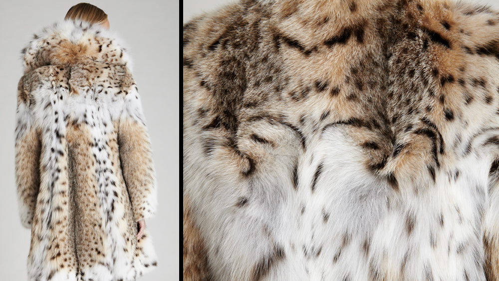 Lynx Fur Facts – GK Furs