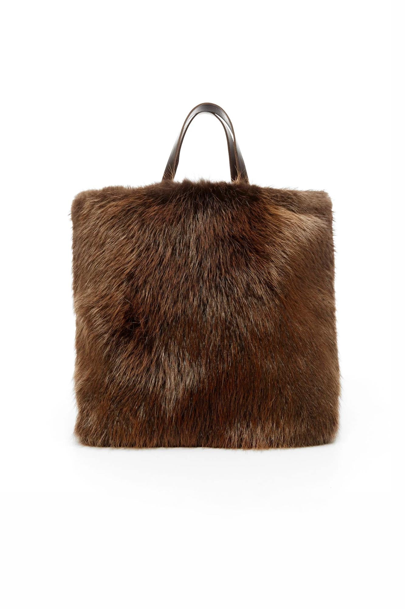 beaver-tote-bag-1_2048x.jpg?v=